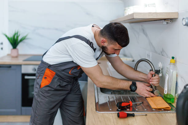 Best Plumbing Services Near Me  in Anamosa, IA
