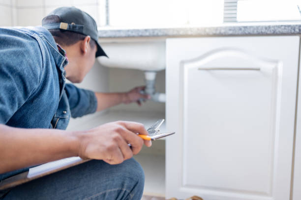 Best Affordable Plumber Near Me  in Anamosa, IA