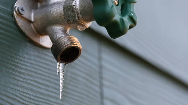 Best Sprinkler Systems  in Anamosa, IA